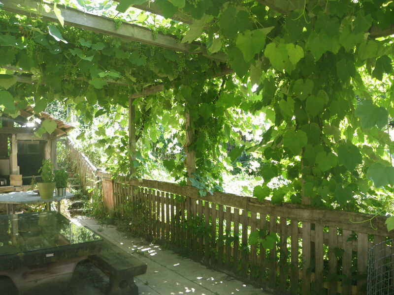 Appartements - Centre NatUrsanne, (St-Ursanne),