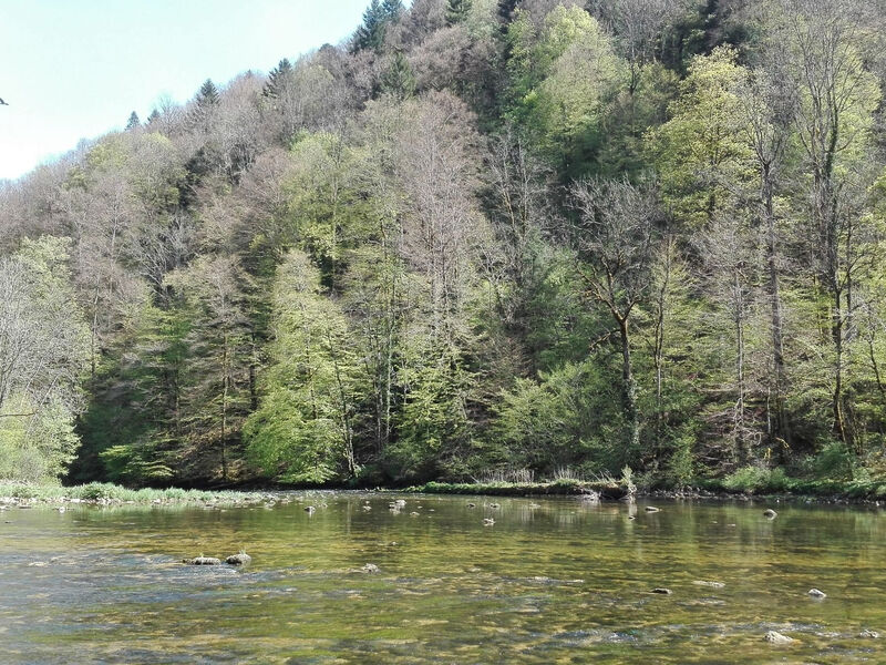 Appartements - Ferme La Joux-Chaupe, (St-Ursanne),