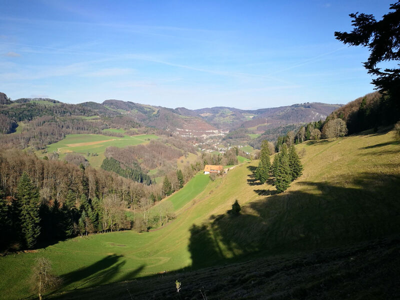 Appartements - Ferme La Joux-Chaupe, (St-Ursanne),