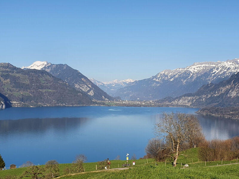 Panoramaferienwohnung Waldkircher Appartement/Fewo