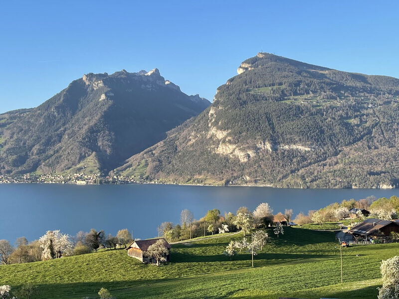 Panoramaferienwohnung Waldkircher Appartement/Fewo