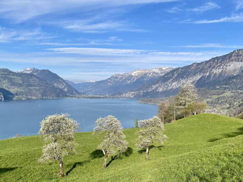 Panoramaferienwohnung Waldkircher Appartement/Fewo