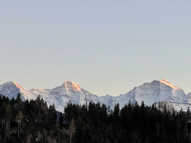 Panoramaferienwohnung Waldkircher Appartement/Fewo