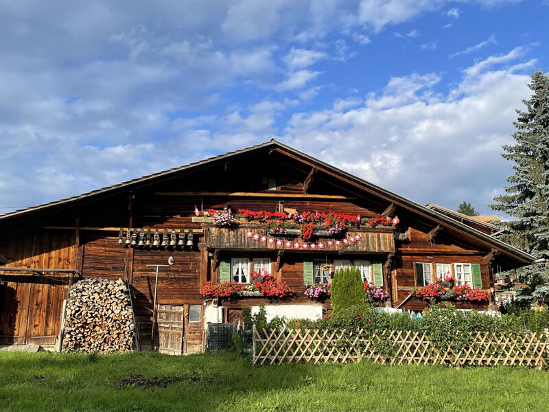 Panoramaferienwohnung Waldkircher Appartement/Fewo