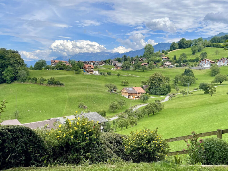 Panoramaferienwohnung Waldkircher Appartement/Fewo
