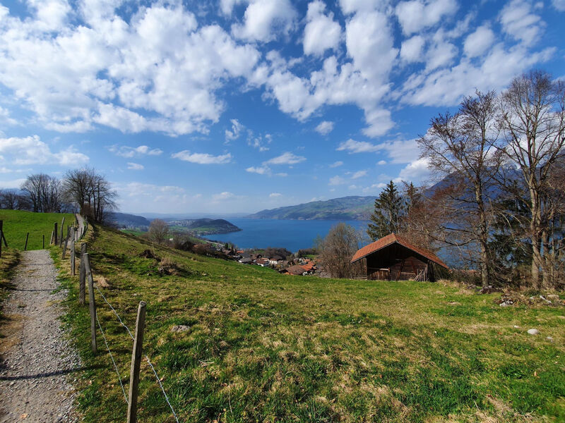 Panoramaferienwohnung Waldkircher Appartement/Fewo