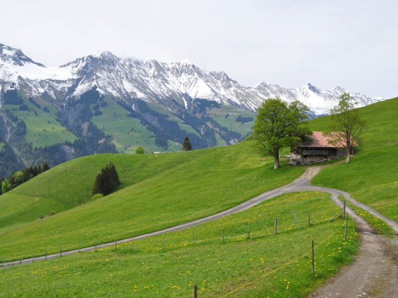 Sennhütte Gibeli Hütte, Bad, WC, 4 oder mehr Schlafräume Sennhütte