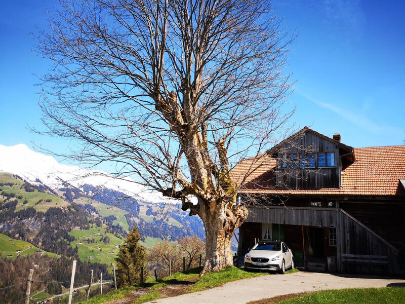 Weidhütte Wegscheide Hütte, Dusche, WC, 3 Schlafräume Wohnung 1. Stock