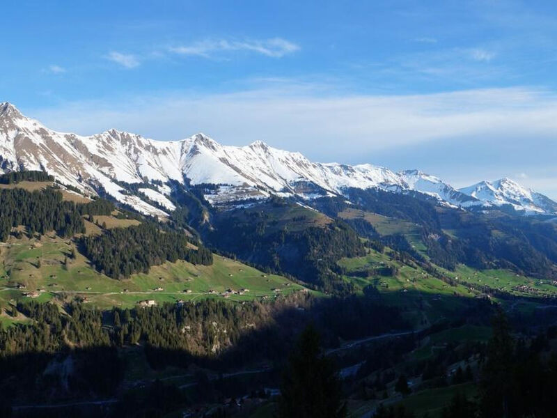 Weidhütte Wegscheide Hütte, Dusche, WC, 3 Schlafräume Wohnung 1. Stock