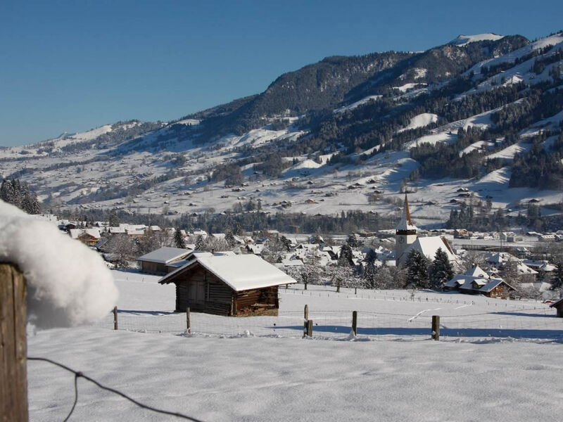 Chalet Bodenweg Appartement/Fewo, Bad, WC, 1 Schlafraum 1-Zimmerwohnung