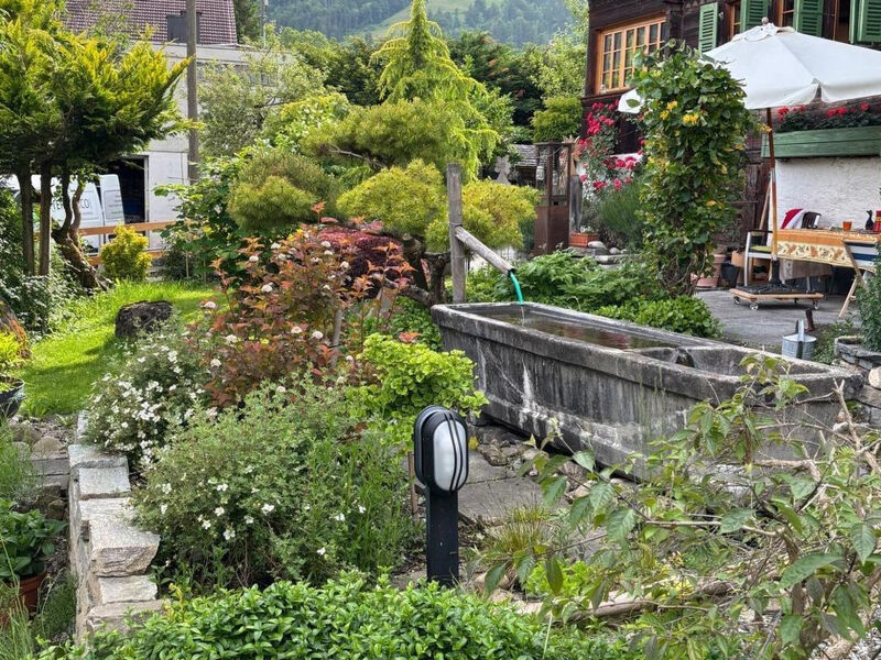 Belle Vue