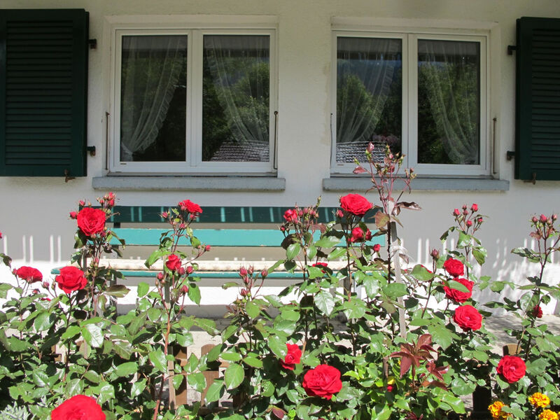 Helene Appartement/Fewo, Dusche, WC, 2 Schlafräume 3-Zimmerwohnung Parterre