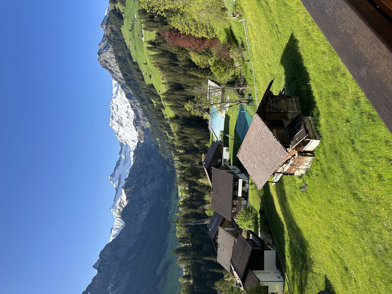 Waldrand Appartement/Fewo, Bad, WC, 2 Schlafräume 3-Zimmerwohnung
