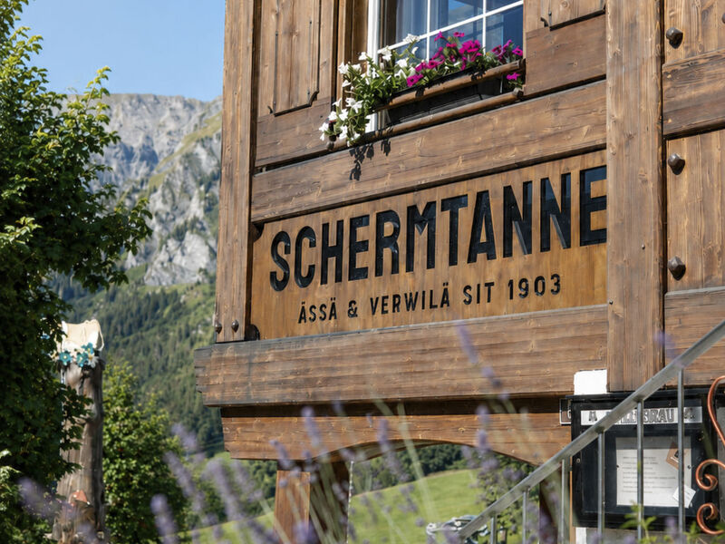 Schermtanne Appartement/Fewo, Dusche oder Bad, WC, 1 Schlafraum Wohnung Nr 3