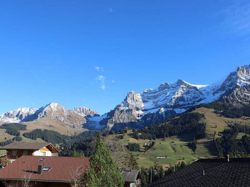 Gruebi - Haus Baldrian Appartement/Fewo, Bad, WC, 2 Schlafräume 3-Zimmerwohnung
