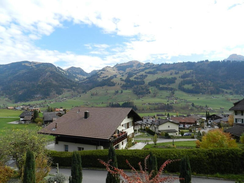 Weidli, Chalet Appartement/Fewo, Dusche oder Bad, WC 4-Bettwohnung