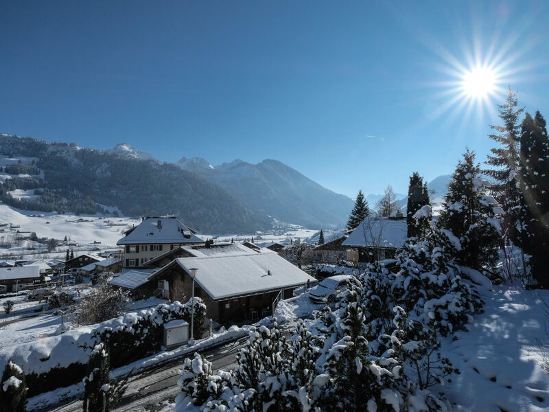 Weidli, Chalet Appartement/Fewo, Dusche oder Bad, WC 4-Bettwohnung