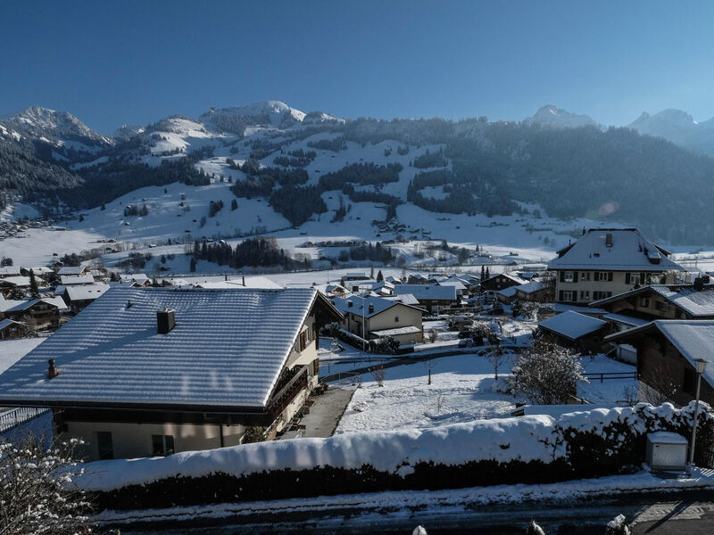Weidli, Chalet Appartement/Fewo, Dusche oder Bad, WC 4-Bettwohnung