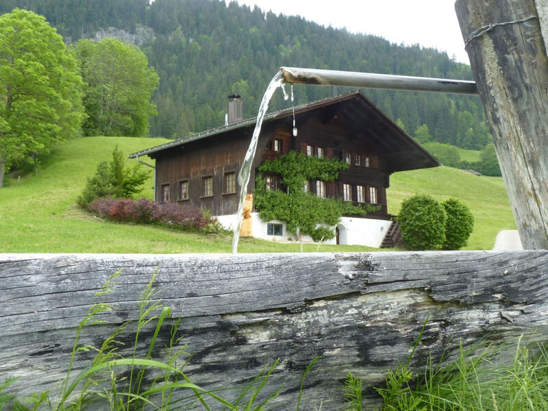 Aerneli, Chalet Appartement/Fewo, Dusche oder Bad, WC 6-Bettwohnung