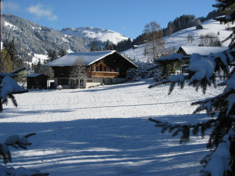 Chalet Nyati, (Gstaad),