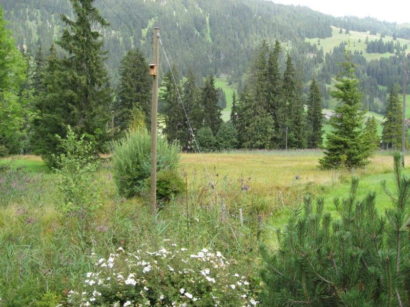 Chalet Nyati, (Gstaad),