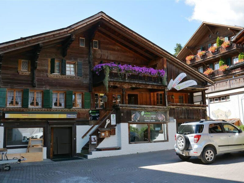Le Vieux Chalet Appartement/Fewo, Dusche oder Bad, WC 4-Bettwohnung