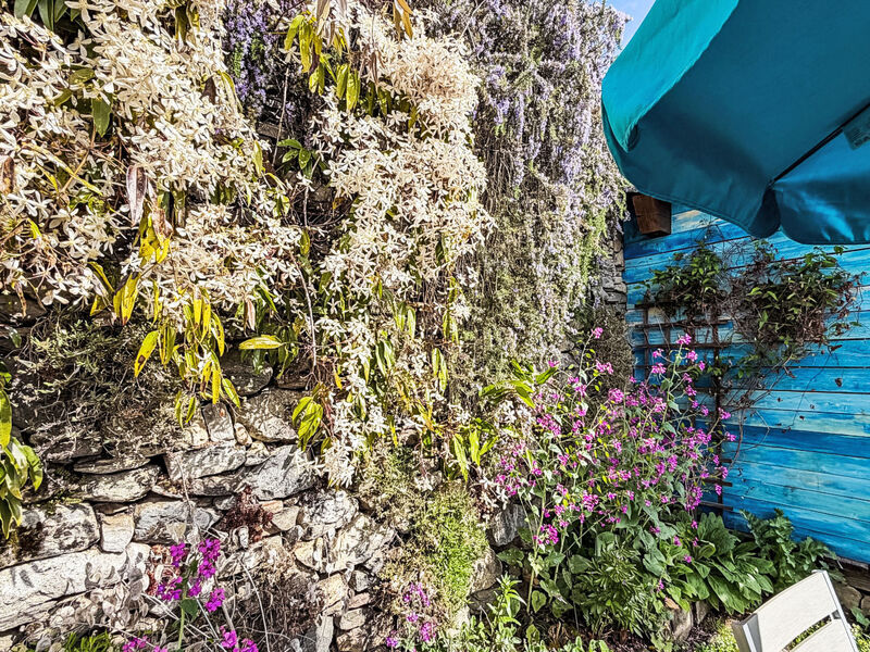 Casa Serena