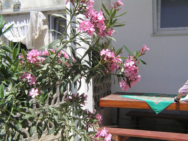 Apartmány 1346-104