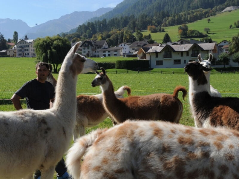 Agrotourismus Bauernhof Puntetta, (Müstair)