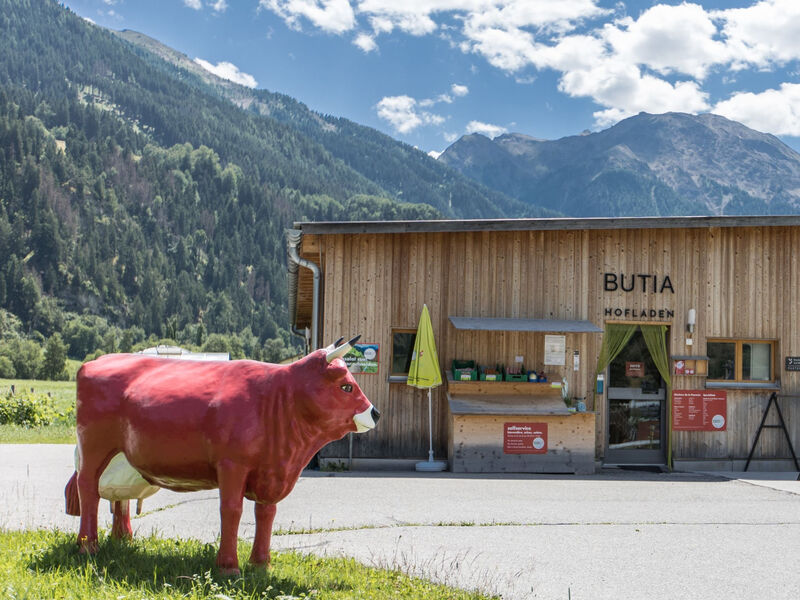 Agrotourismus Bauernhof Puntetta, (Müstair)