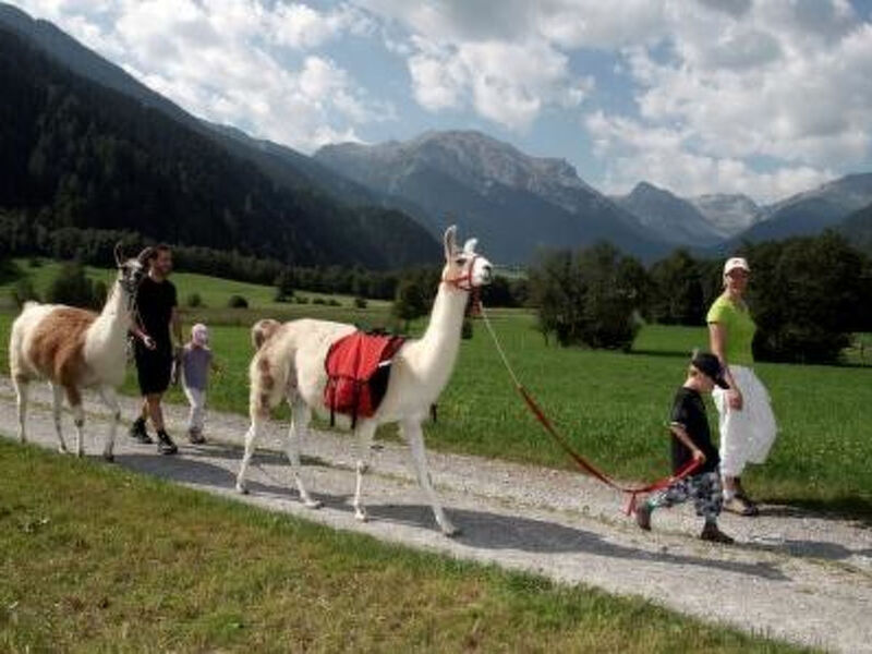 Agrotourismus Bauernhof Puntetta, (Müstair)