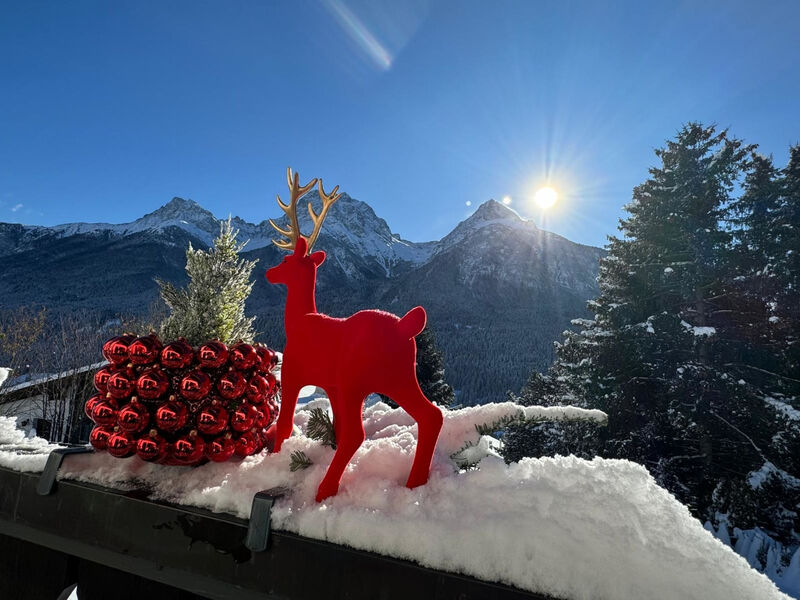 Berg-Bijou Scuol, (Scuol)
