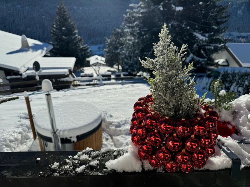 Berg-Bijou Scuol, (Scuol)