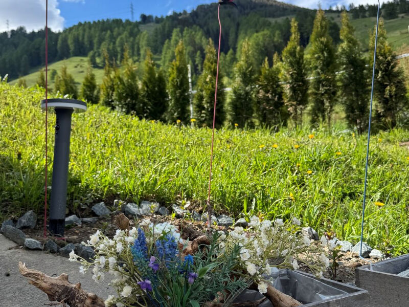 Berg-Bijou Scuol, (Scuol)