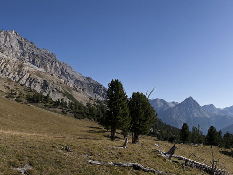 Manaröl 607, (Scuol)