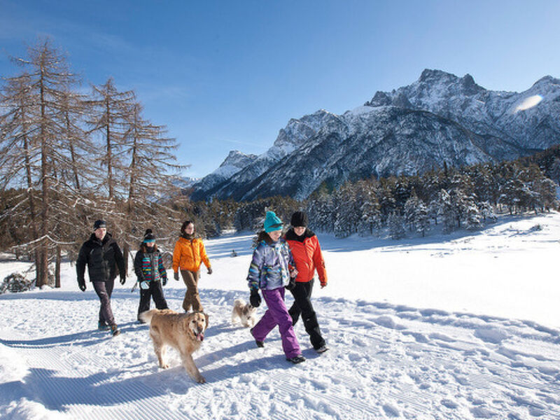 Manaröl 607, (Scuol)