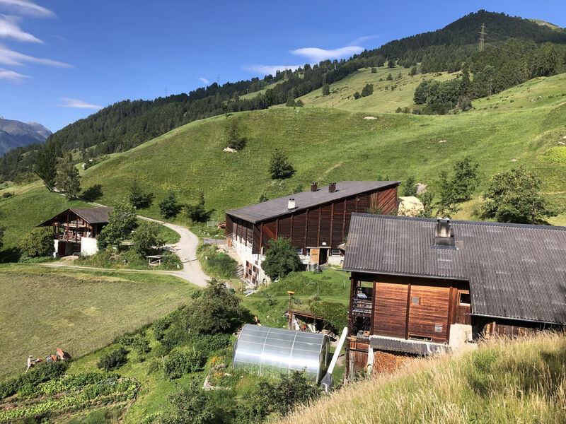 Biohof Tanter Dossa, (Scuol)