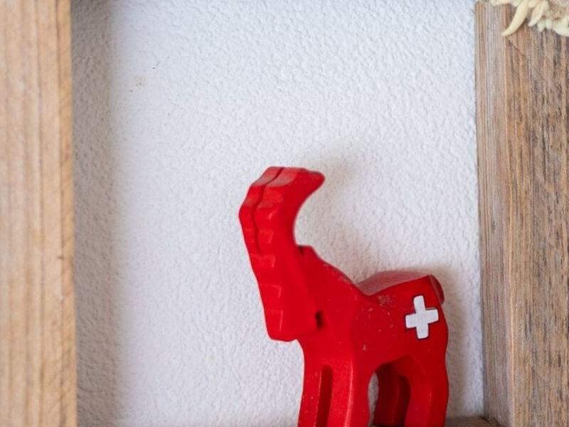 Senda 517c, (Scuol)