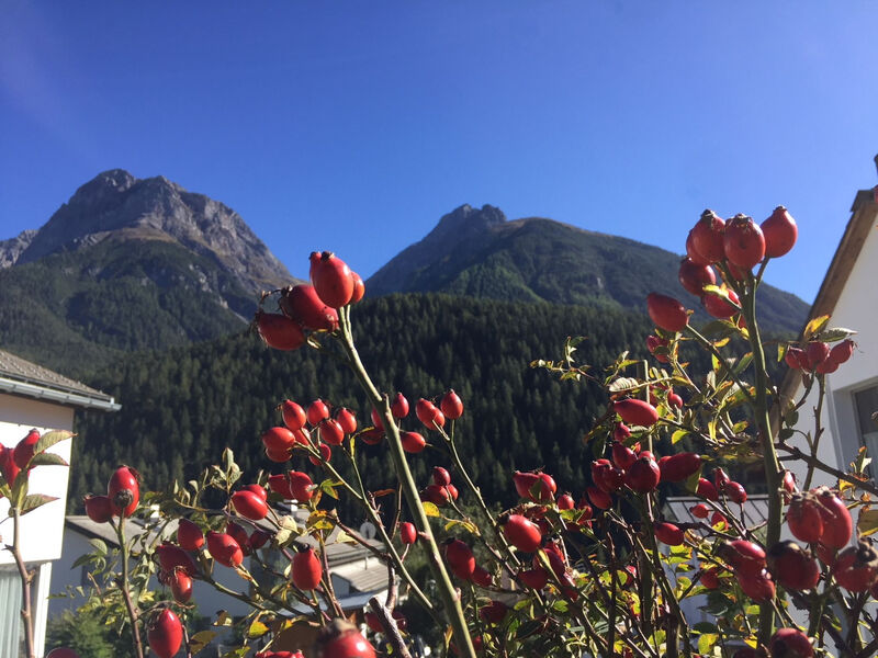 Chasa Bazzi, (Scuol)