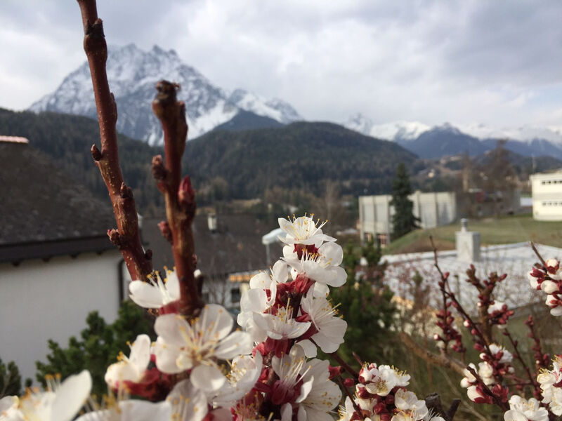 Chasa Bazzi, (Scuol)