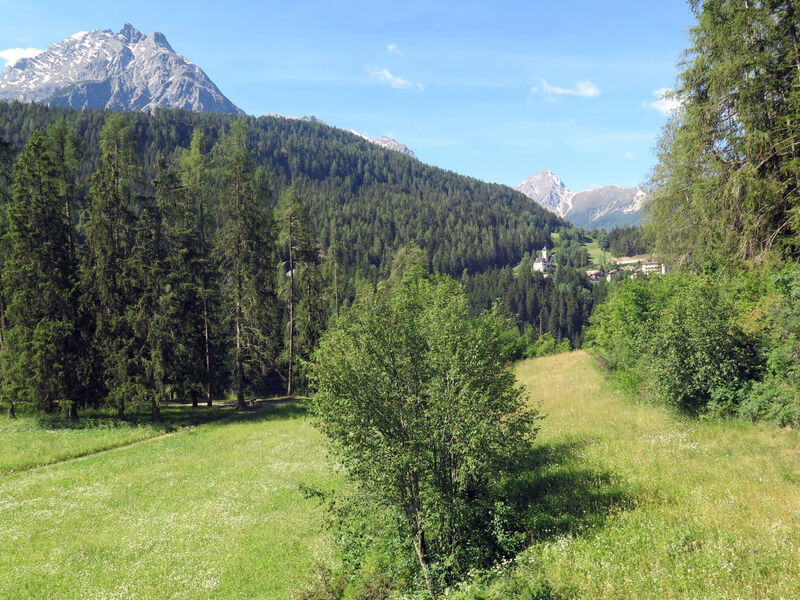 Brentsch Park, (Scuol)