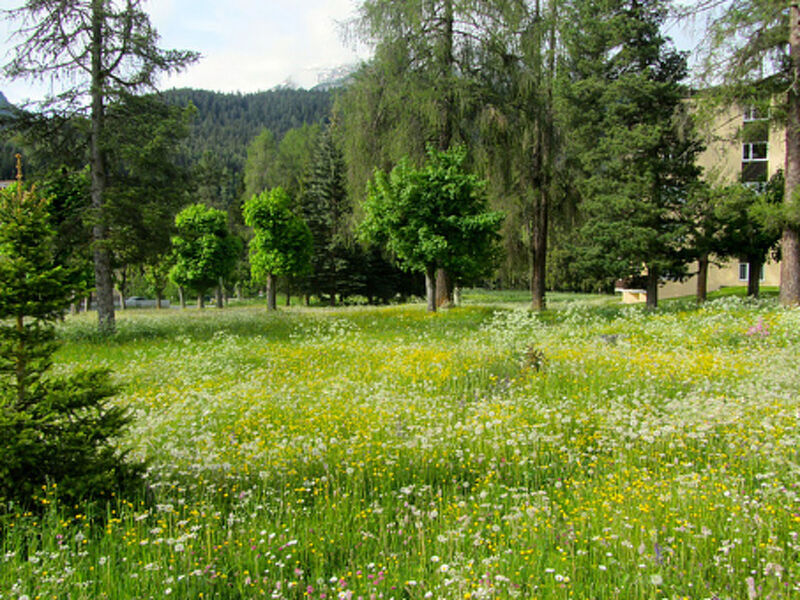 Brentsch Park, (Scuol)