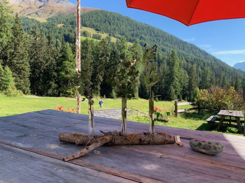 Chasa Bazzi, (Scuol)