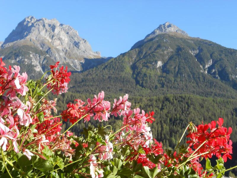 STEINMANN, (Scuol)