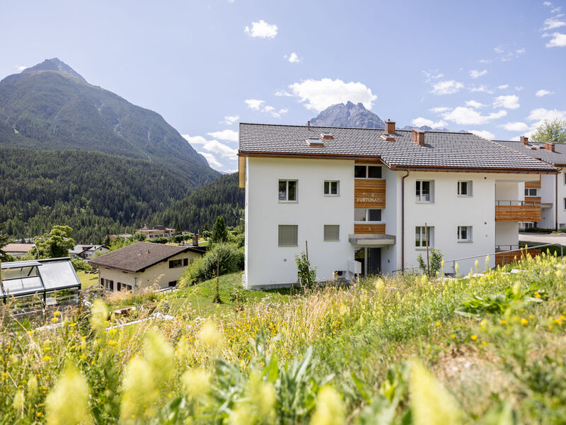 HÄMMIG, (Scuol)