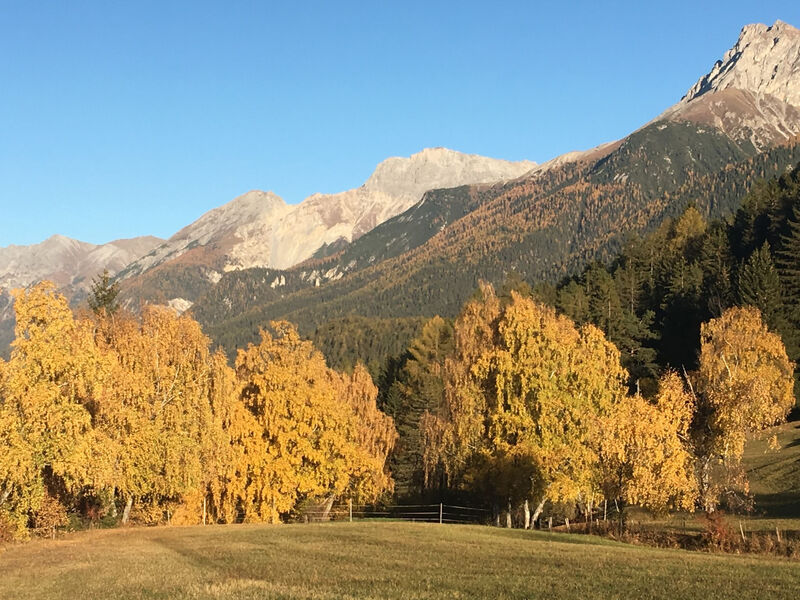Ferienhaus La Chasina, (Tarasp)