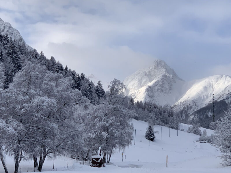 Ferienhaus La Chasina, (Tarasp)