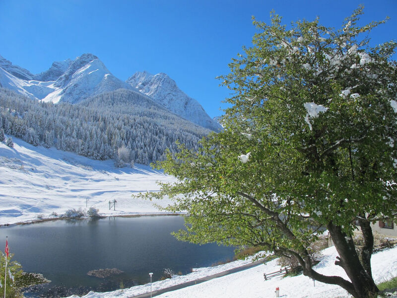 Chasa Soldanella, (Tarasp)