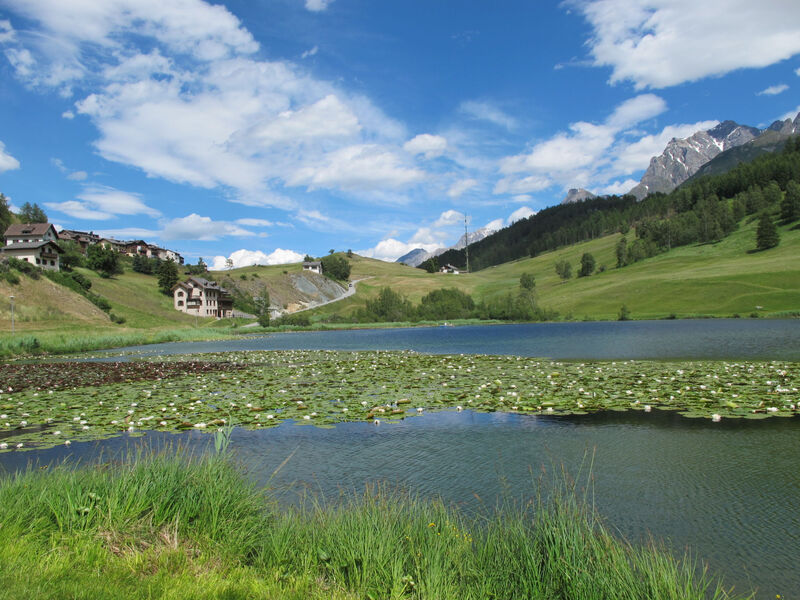 Chasa Soldanella, (Tarasp)