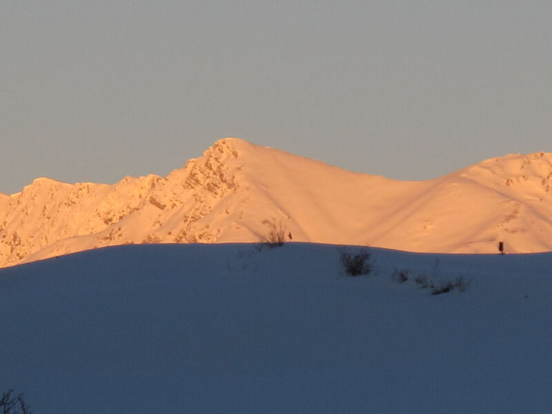 Chasa Soldanella, (Tarasp)